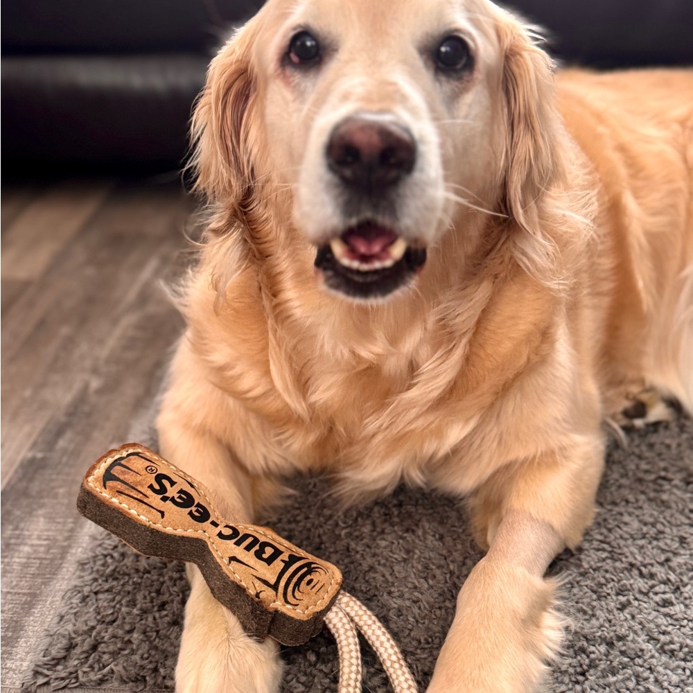 Buc-ee’s Pet Essentials Leather Tug Toy – Durable Chew & Play Toy for Dogs